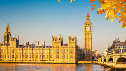 Photo of the Houses of Parliament shot from across the river, lit in a golden Autumn light with golden tree leaves visible in the top right corner.