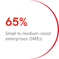 65% Small to medium-sized enterprises (SMEs)