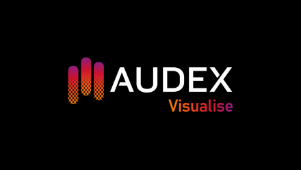 AudEx Visualise Logo